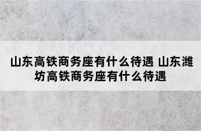 山东高铁商务座有什么待遇 山东潍坊高铁商务座有什么待遇